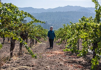 Cathy Corison walking the kronos vineyard