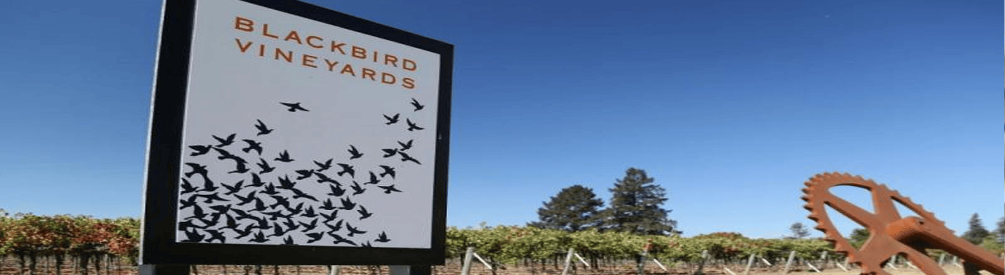 blackbird vineyards arise