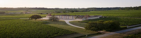Chateau Lassegue wines