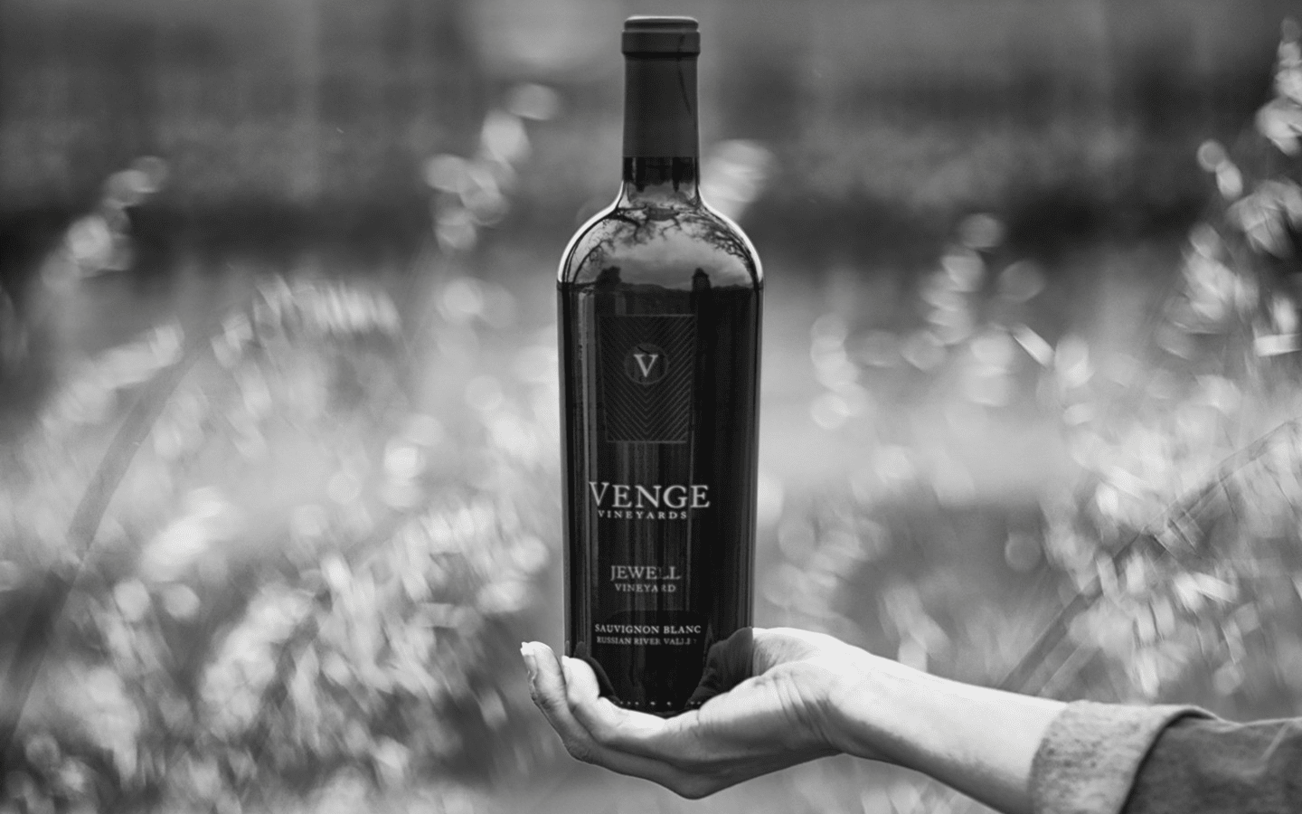 venge wines