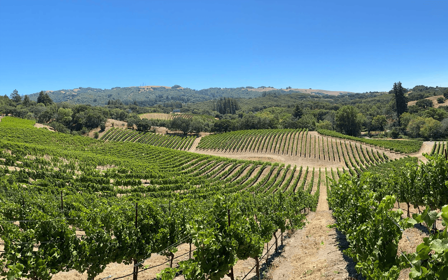 addax winery