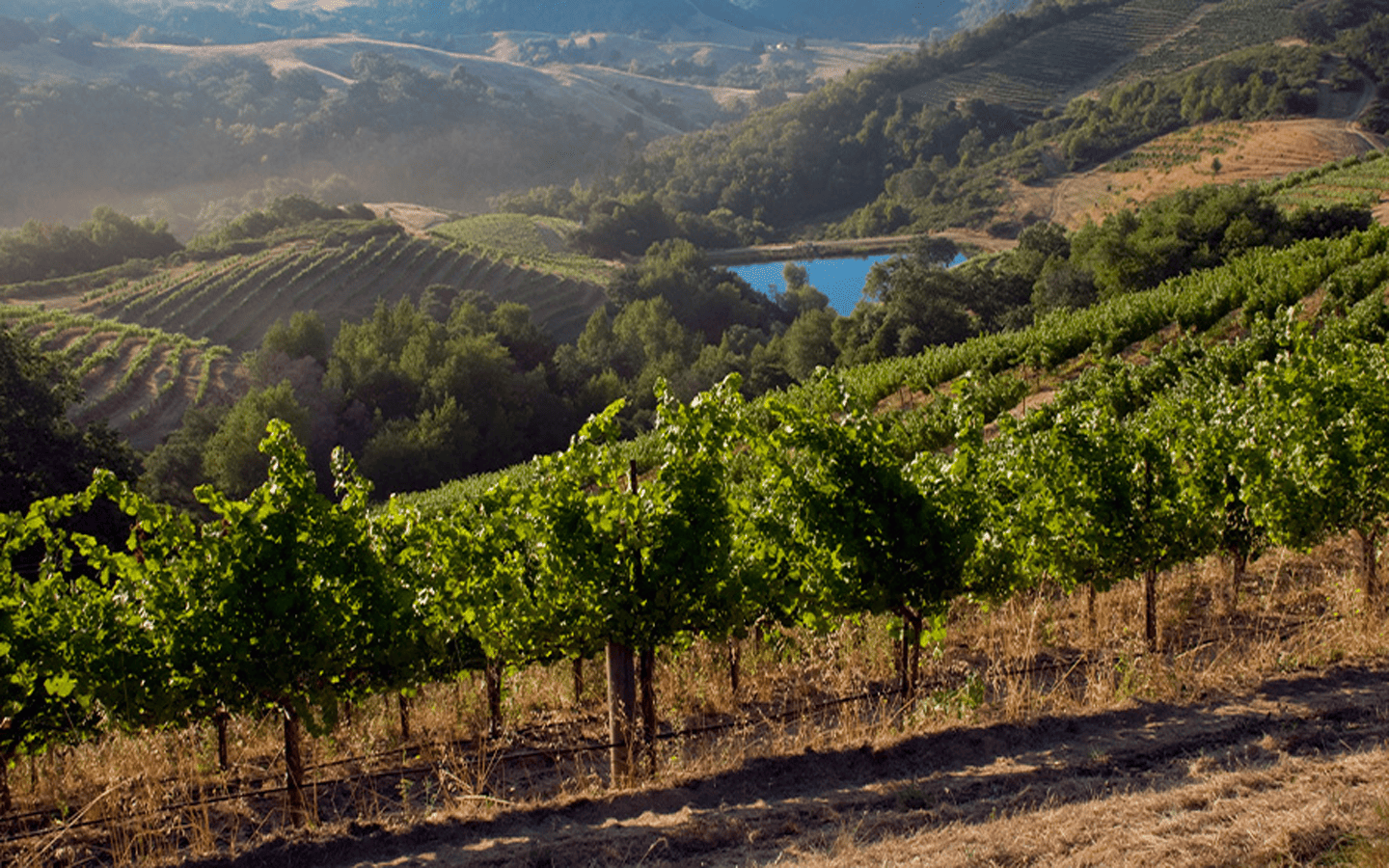 hess winery california