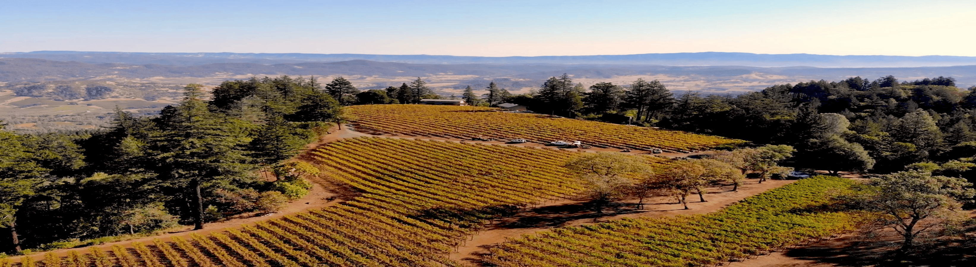 lamborn vineyards