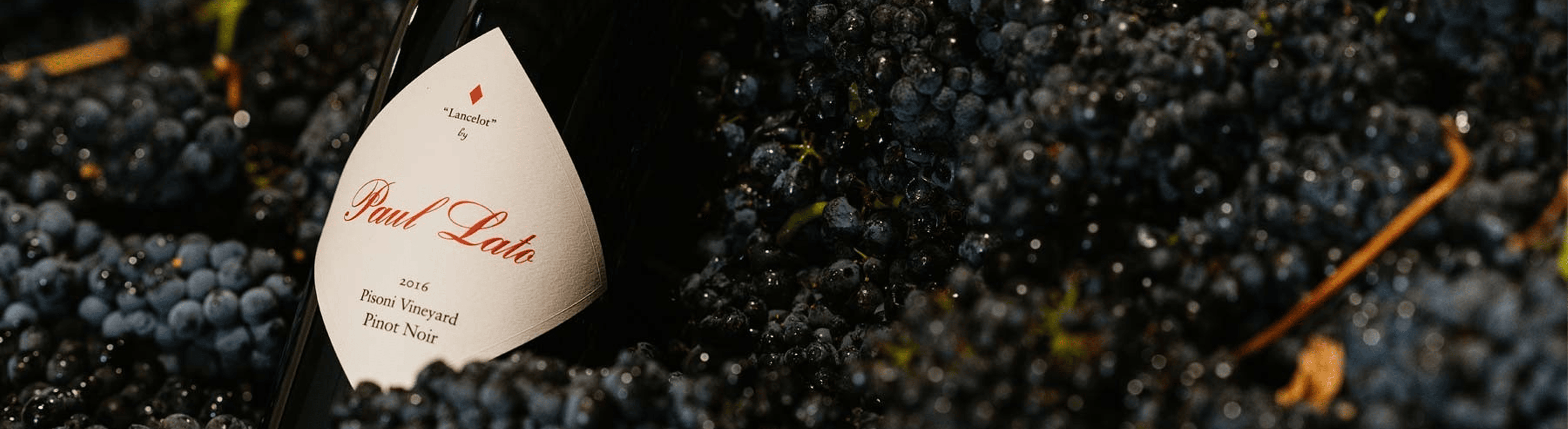 paul lato winery