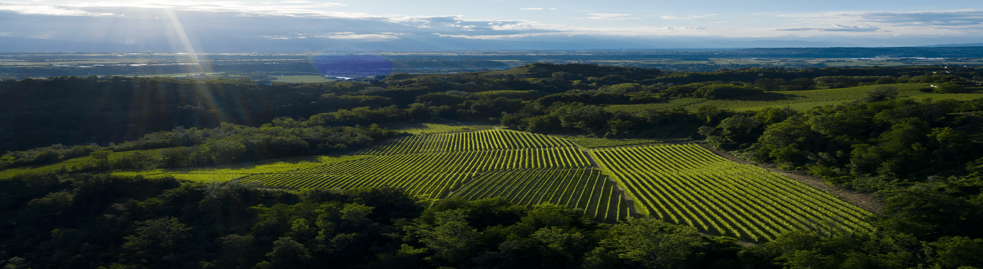 barolo wine region